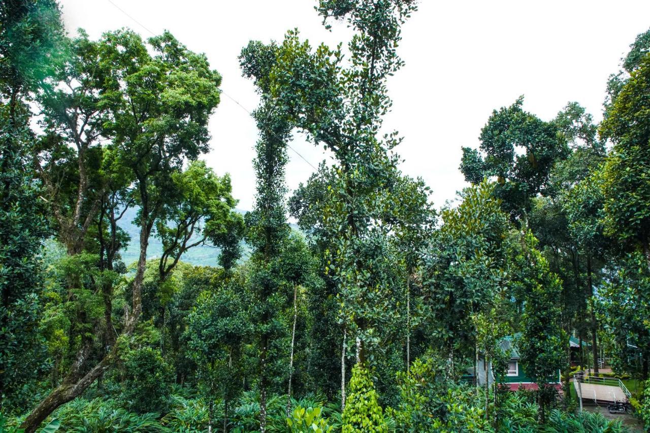Hotel Tree Blanche à Munnar Extérieur photo